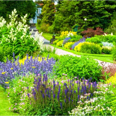 Botanical Garden