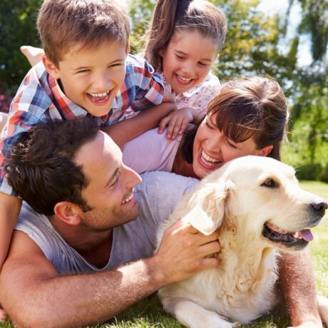 A pet-friendly area with guests walking their dogs in Orange, CA at Orangeland RV Park.