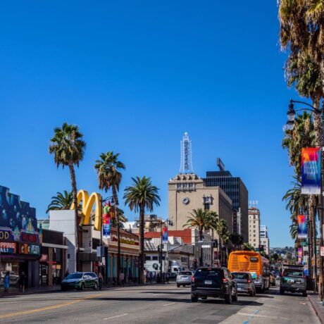 Busy Hollywood Boulevard with palm trees and Walk of Fame stars visible on the sidewalk