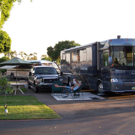 RV site with picnic table, hookups, and palm trees nearby