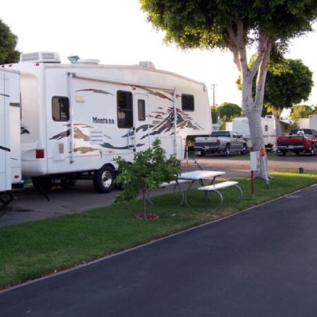 Wide, tree-lined RV sites with full hookups at Orangeland RV Park in Orange, CA.