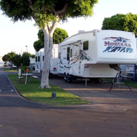 Wide, tree-lined RV sites with full hookups at Orangeland RV Park in Orange, CA.