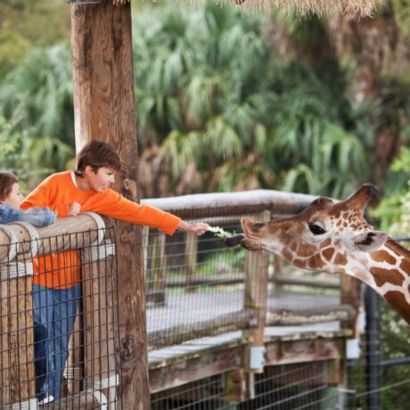 The Living Desert Zoo and Gardens