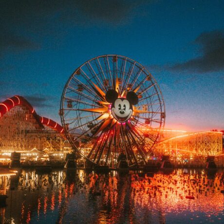 Families visiting Disneyland park in California
